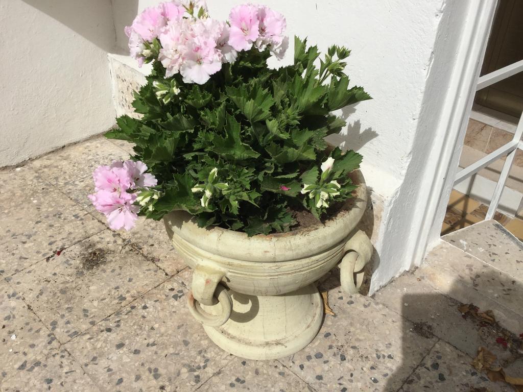 Вилла Case Vacanze Le Rose Ното Экстерьер фото
